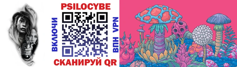 как найти Шумерля блэк спрут зеркало Псилоцибиновые грибы мицелий